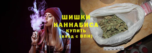 крисы Верхний Тагил