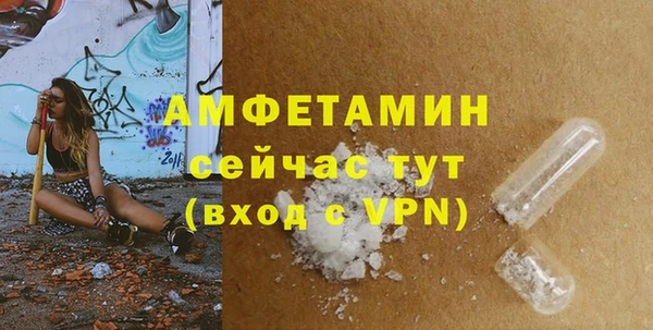 крисы Верхний Тагил