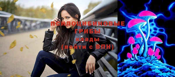 индика Верхнеуральск
