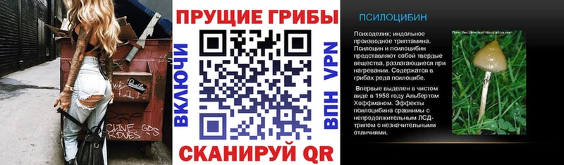 Галлюциногенные грибы мицелий  Новочебоксарск 